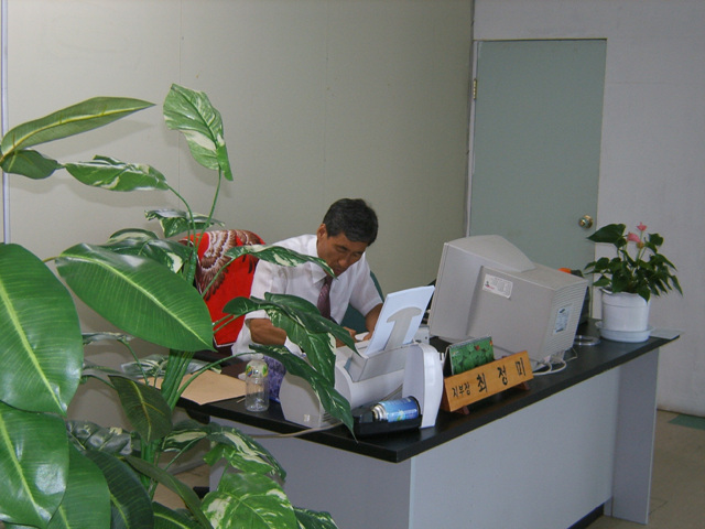 100ssdvc 004.jpg